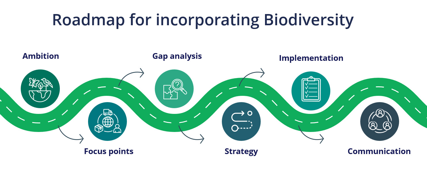 roadmap-for-incorporating-biodiversity-en.jpg