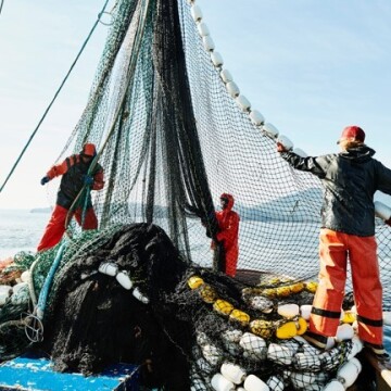 Customer in fishing sector