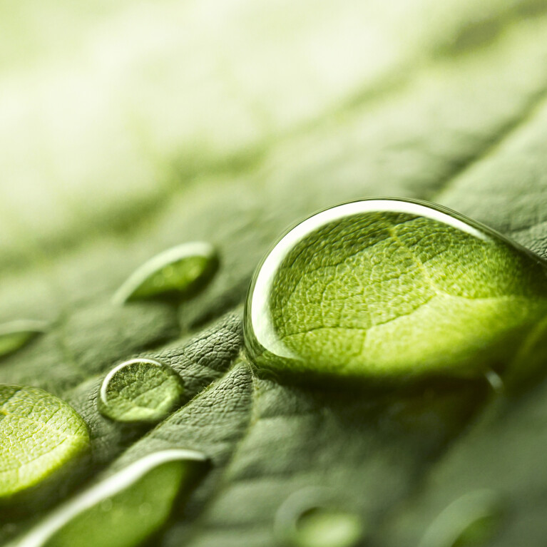 Biodiversiteit en CSRD: Van complexiteit naar concrete actie