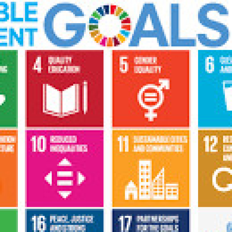 Sustainable Development Goals integreren