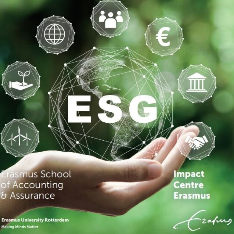 Executive program: ESG reporting expert