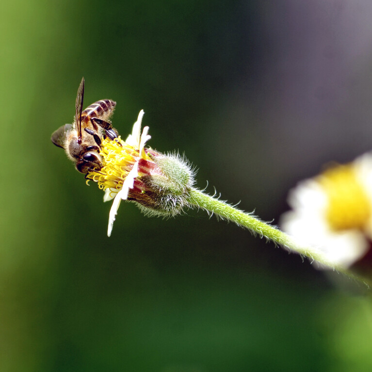 Webinar 8 april 'Betekenisvol rapporteren over biodiversiteit'
