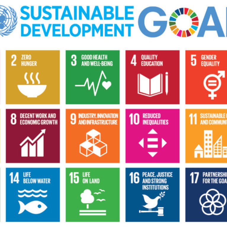 Online Masterclass: Integrating SDGs in your business 