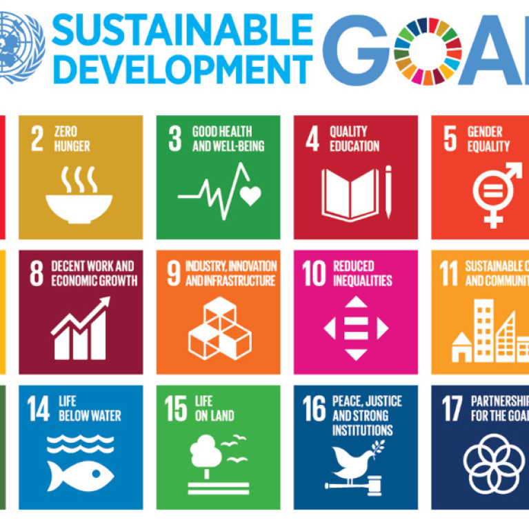 Online Masterclass: Integrating SDGs in your business 